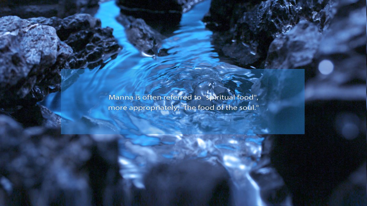 Manna 08