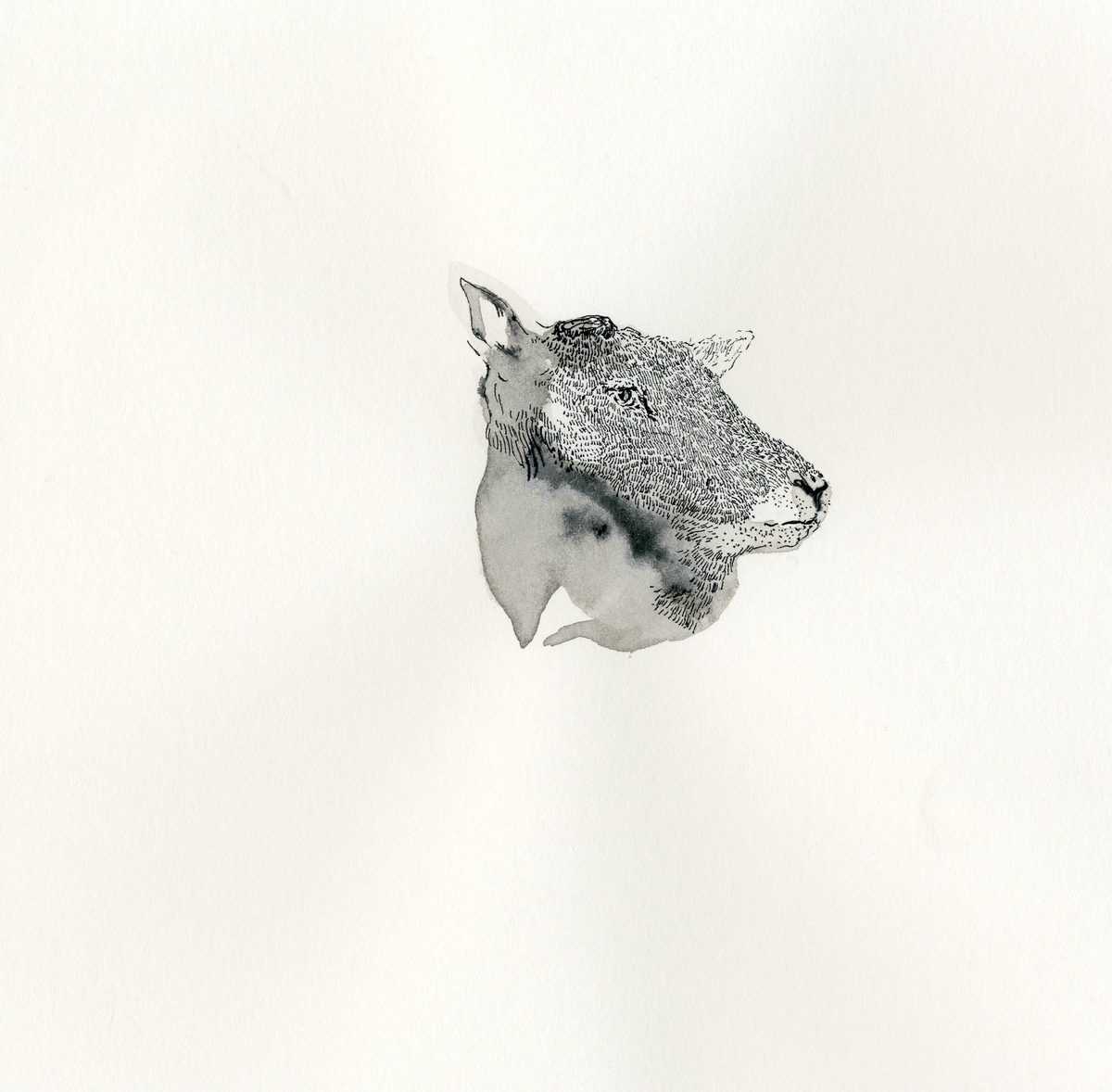 illustration 01