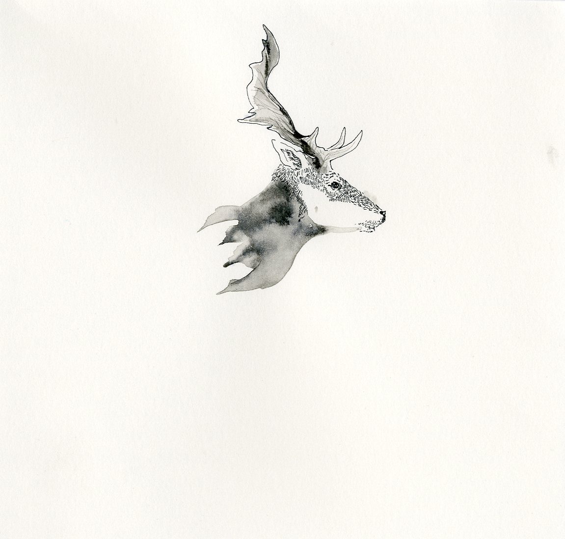 illustration 02