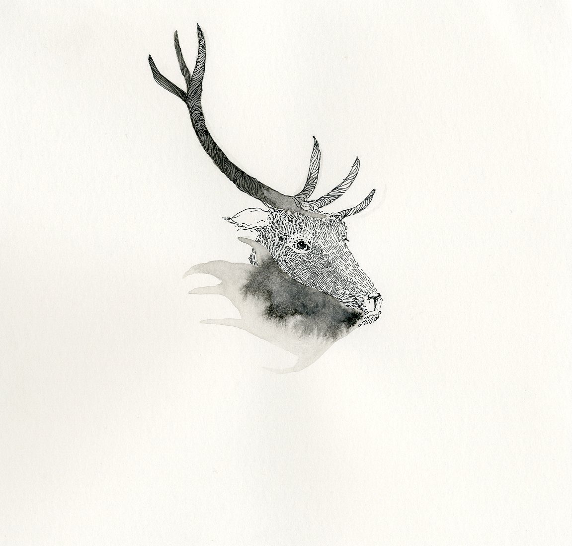 illustration 06