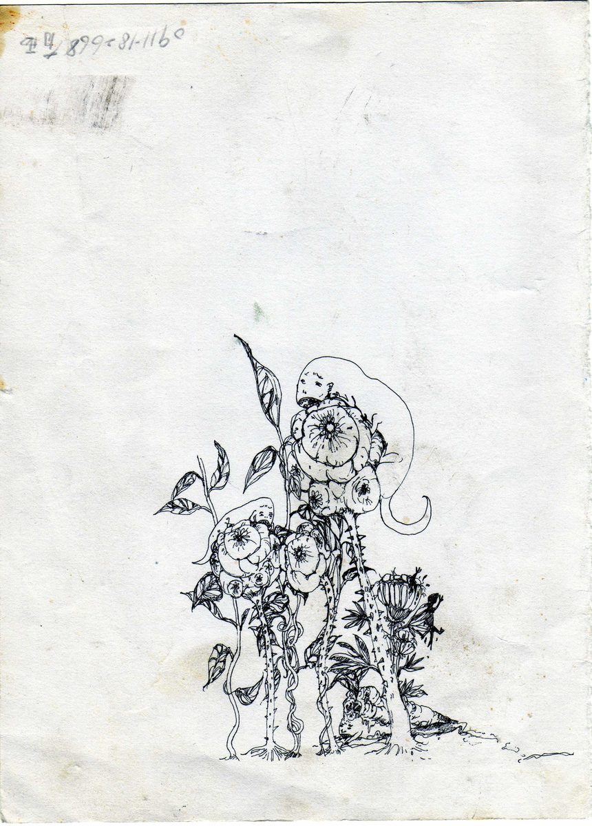 illustration 08
