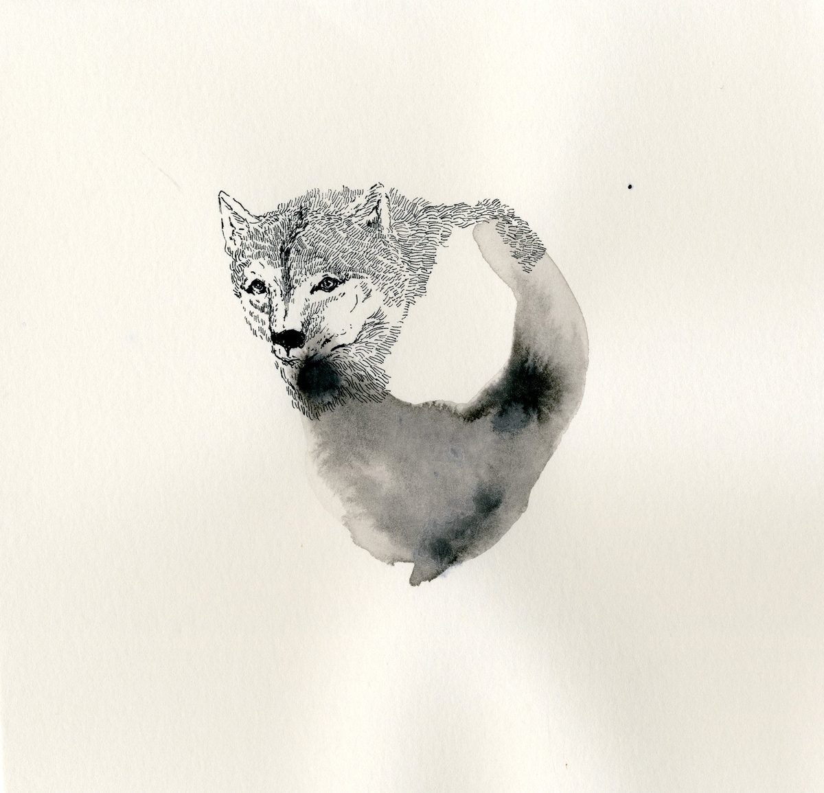 illustration 12